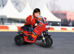 Ducati Desmosedici EVO