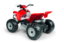 Polaris Outlaw 330W 12V