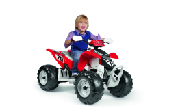 Polaris Outlaw 330W 12V